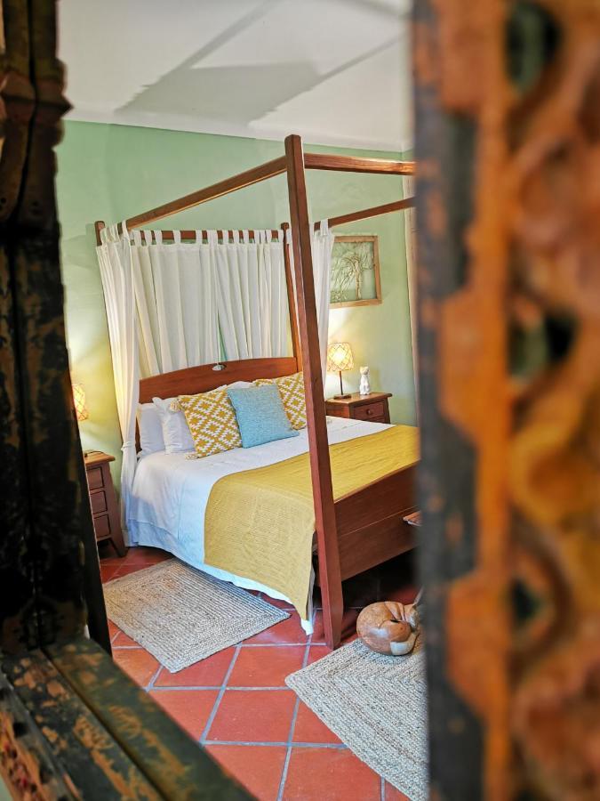 Monte Alerta Guest house